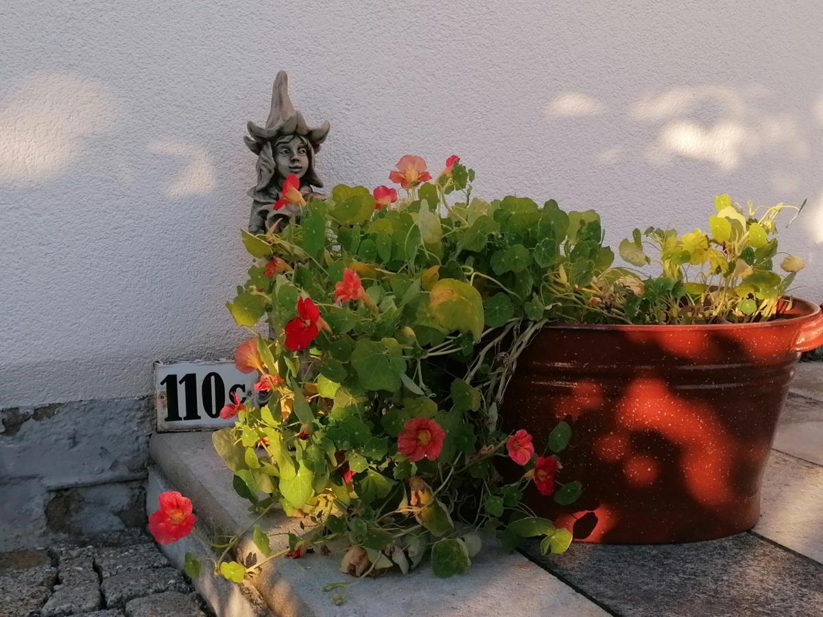 Kaethes Sommerhaus Schona Bagian luar foto